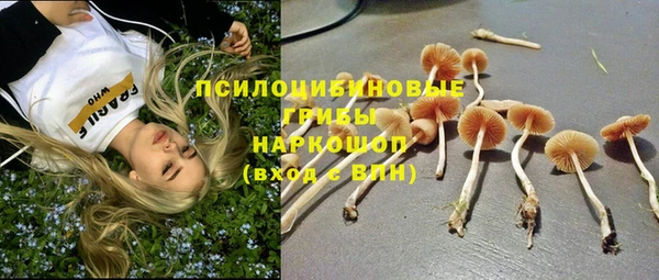 герыч Рославль
