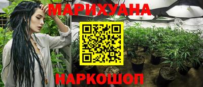 дмт Будённовск