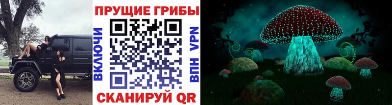 Псилоцибиновые грибы прущие грибы  где купить   Балахна 