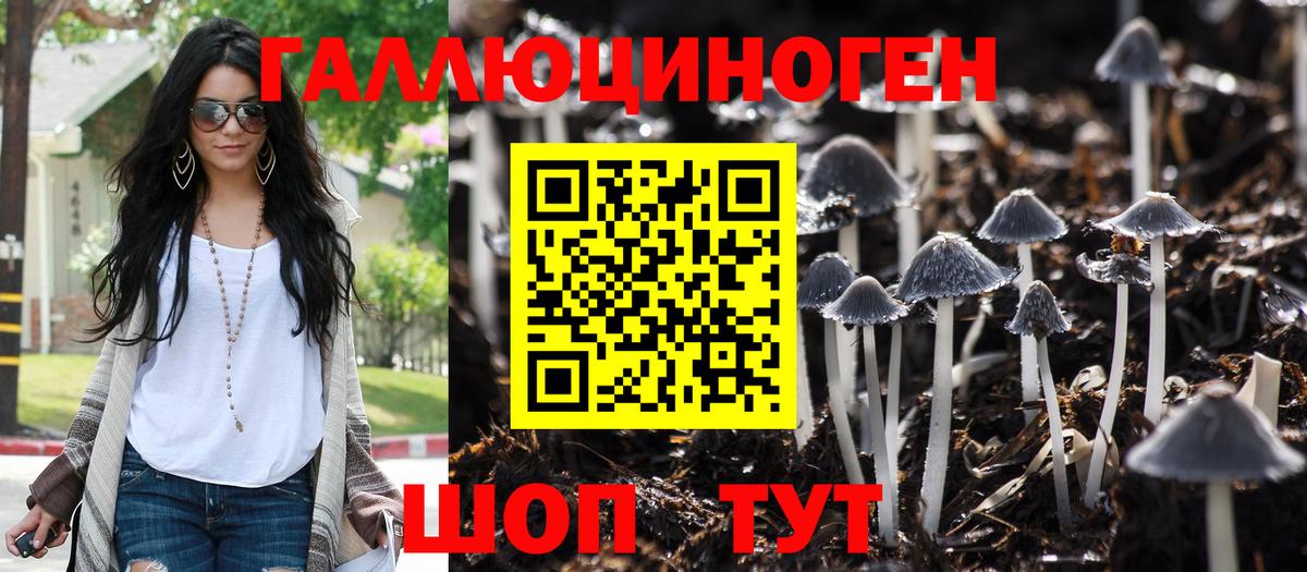 Балахна  Псилоцибиновые грибы MAGIC MUSHROOMS  Вход с VPN 