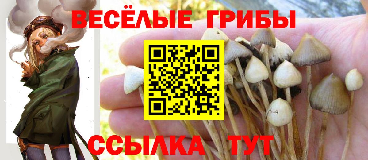 Псилоцибиновые грибы Magic Shrooms  где продают   Балахна 