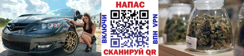 kraken как зайти  Балахна  нарко площадка формула  Шишки марихуана план 